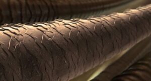 โครงสร้างเส้นผม-1024x552